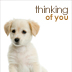 Alternate text for Thinking of you #2